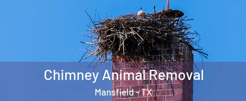 Chimney Animal Removal Mansfield - TX