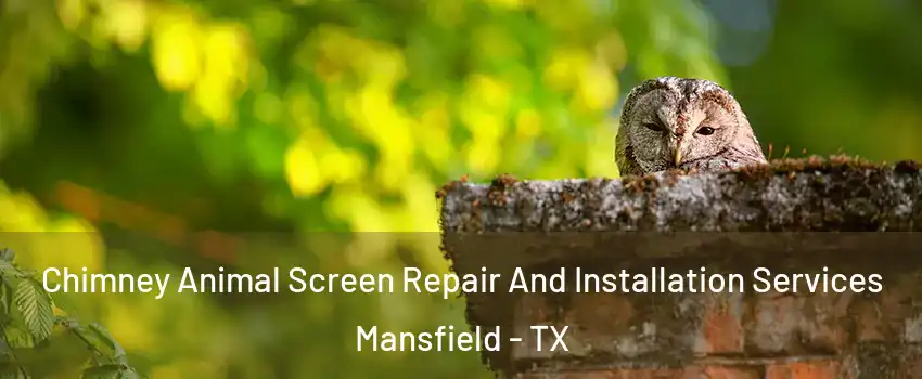  Chimney Animal Screen Repair And Installation Services Mansfield - TX