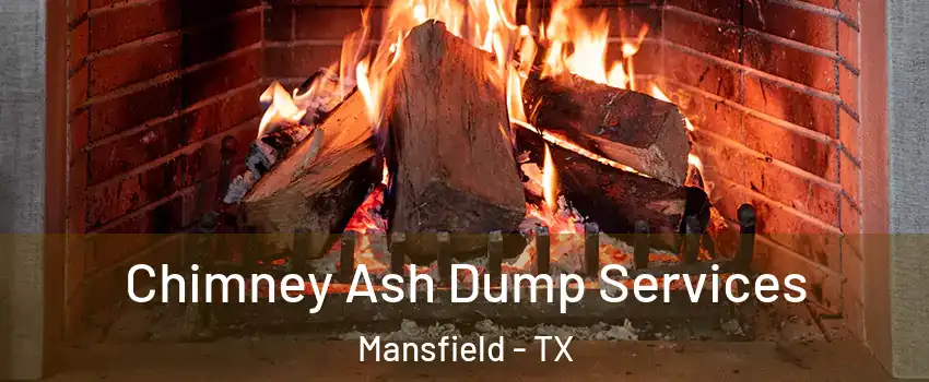  Chimney Ash Dump Services Mansfield - TX