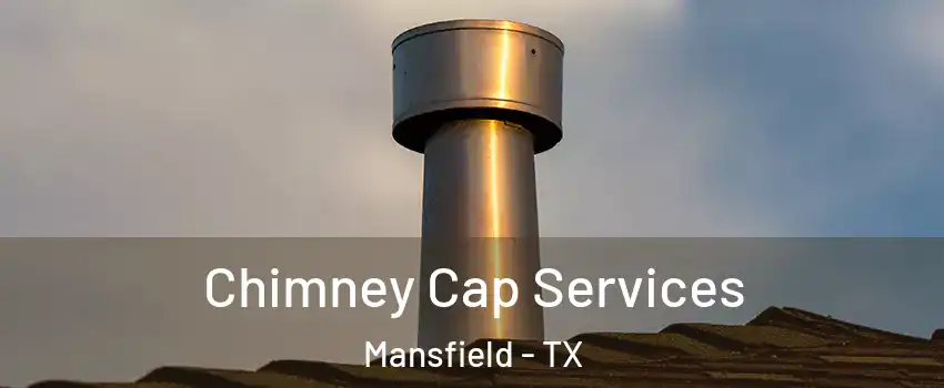  Chimney Cap Services Mansfield - TX