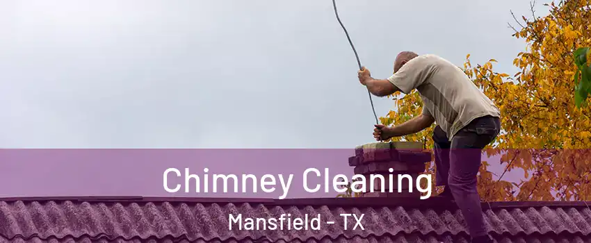  Chimney Cleaning Mansfield - TX