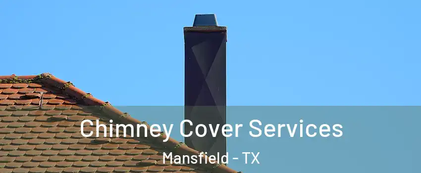  Chimney Cover Services Mansfield - TX