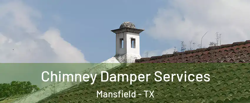  Chimney Damper Services Mansfield - TX