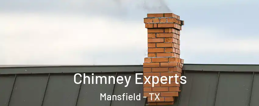 Chimney Experts Mansfield - TX