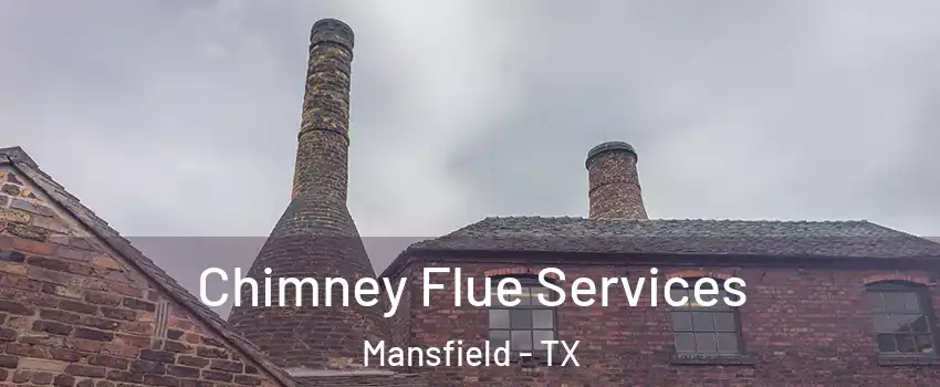  Chimney Flue Services Mansfield - TX