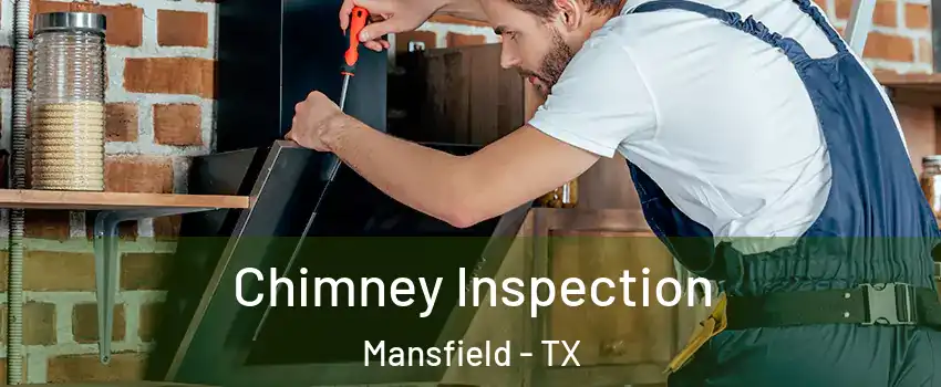  Chimney Inspection Mansfield - TX