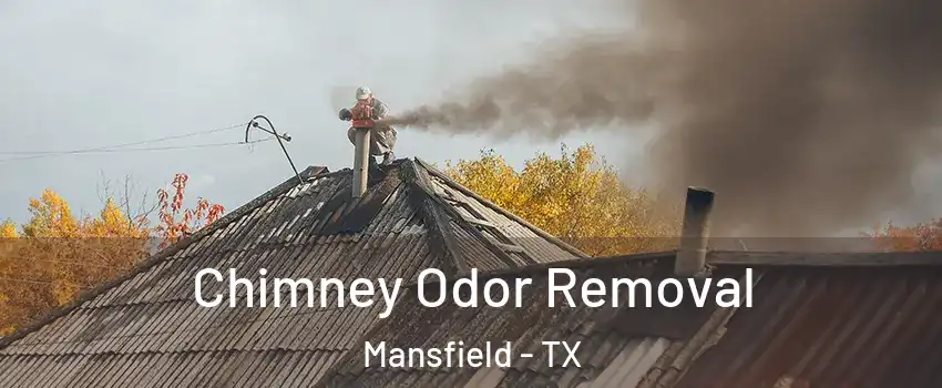  Chimney Odor Removal Mansfield - TX