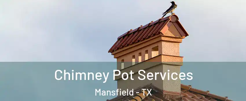  Chimney Pot Services Mansfield - TX