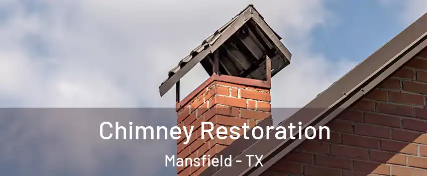  Chimney Restoration Mansfield - TX