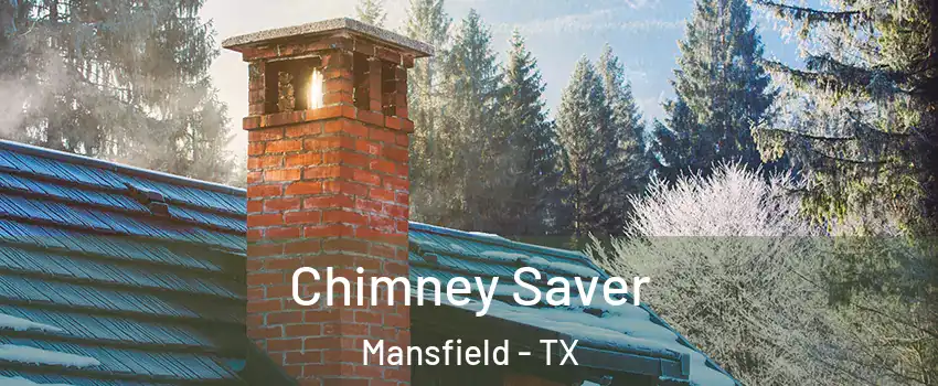  Chimney Saver Mansfield - TX