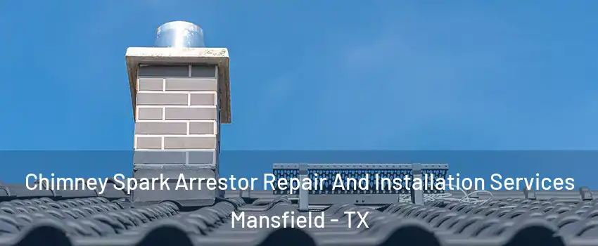  Chimney Spark Arrestor Repair And Installation Services Mansfield - TX