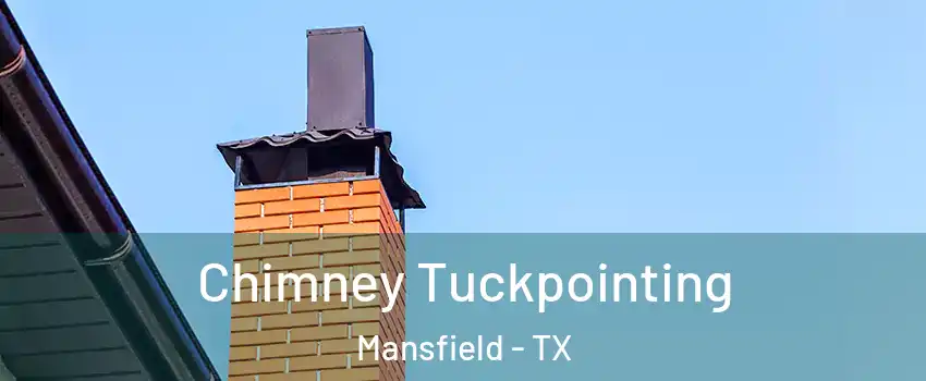  Chimney Tuckpointing Mansfield - TX