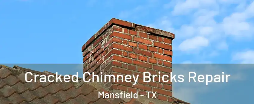  Cracked Chimney Bricks Repair Mansfield - TX