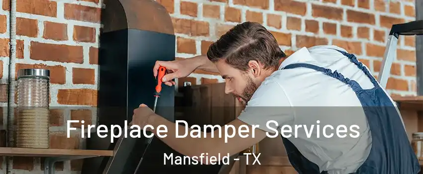  Fireplace Damper Services Mansfield - TX