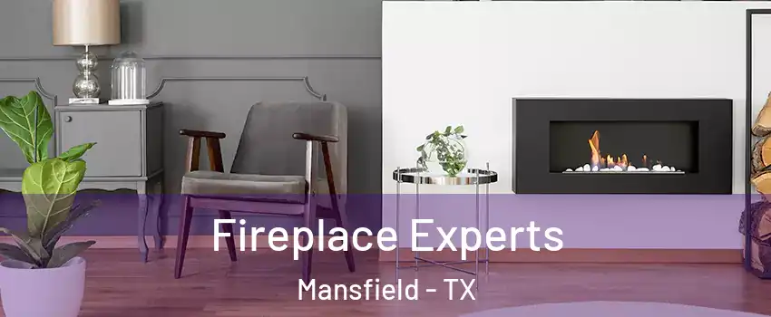 Fireplace Experts Mansfield - TX