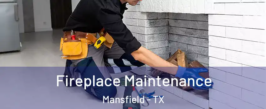  Fireplace Maintenance Mansfield - TX