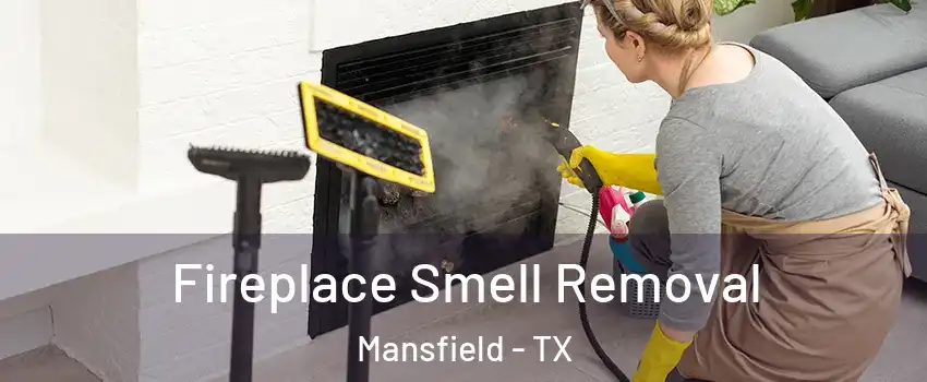  Fireplace Smell Removal Mansfield - TX