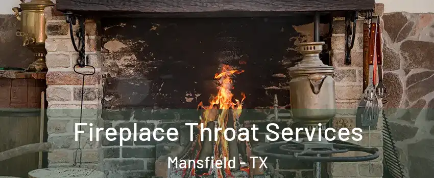  Fireplace Throat Services Mansfield - TX
