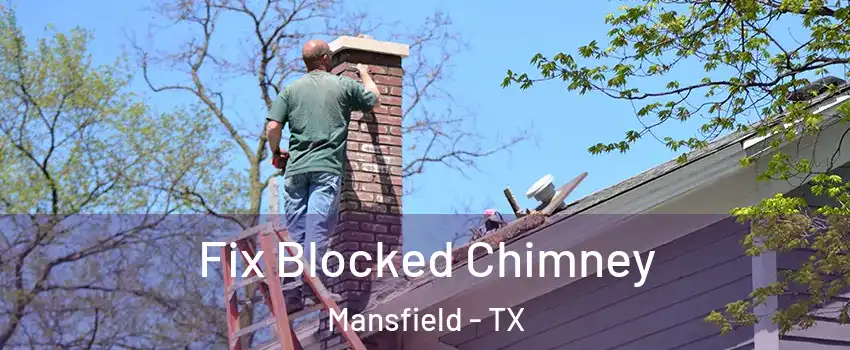  Fix Blocked Chimney Mansfield - TX