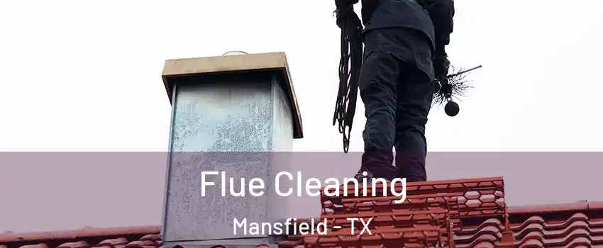  Flue Cleaning Mansfield - TX