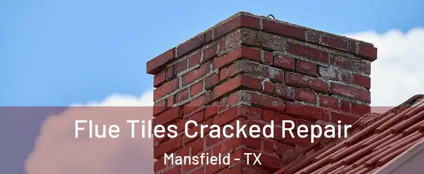  Flue Tiles Cracked Repair Mansfield - TX