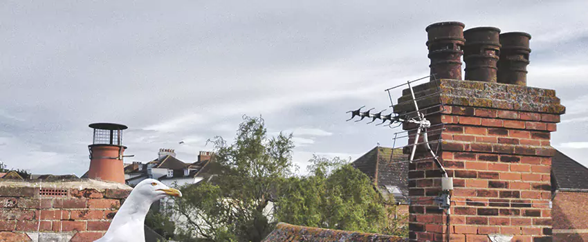 Chimney Cleaning And Restoration in Mansfield, Texas