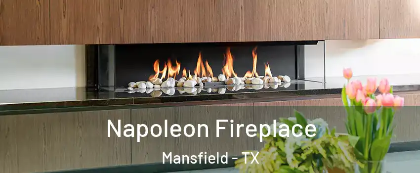  Napoleon Fireplace Mansfield - TX