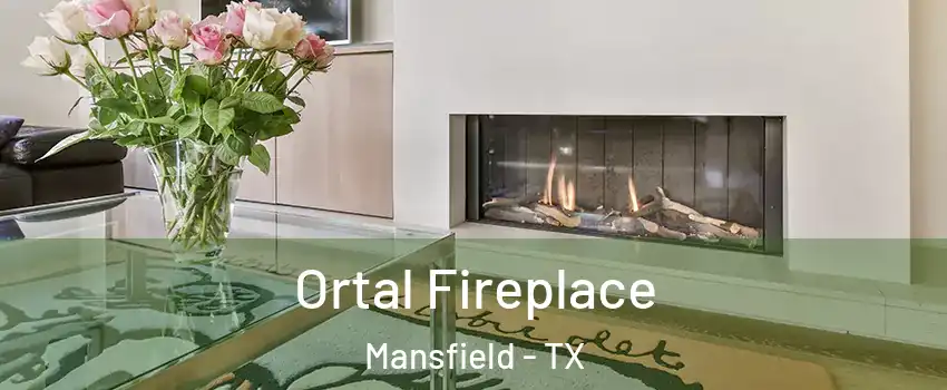 Ortal Fireplace Mansfield - TX